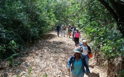 CAMINATA ECOLÓGICA.